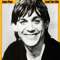 Joe Rogan recommends The Passenger — Iggy Pop Music from Joe Rogan